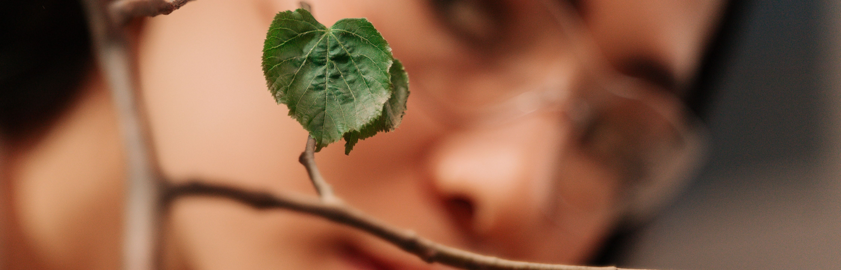 RESILIENCIA SOLUCIONES BASADAS EN LA NATURALEZA SbN