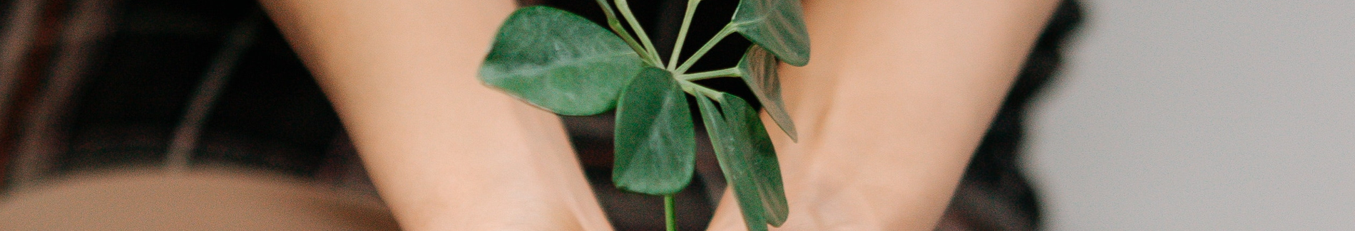 RESILIENCIA SOLUCIONES BASADAS EN LA NATURALEZA SbN