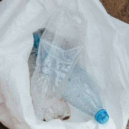 RESILIENCIA SOLUCIONES BASADAS EN LA NATURALEZA SbN