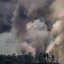 RESILIENCIA SOLUCIONES BASADAS EN LA NATURALEZA SbN