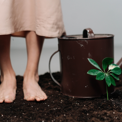 RESILIENCIA SOLUCIONES BASADAS EN LA NATURALEZA SbN