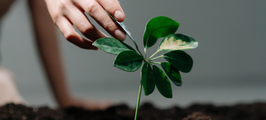 RESILIENCIA SOLUCIONES BASADAS EN LA NATURALEZA SbN
