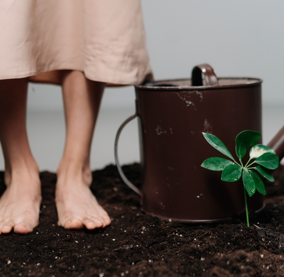 RESILIENCIA SOLUCIONES BASADAS EN LA NATURALEZA SbN