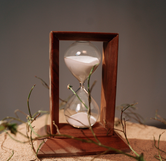 RESILIENCIA SOLUCIONES BASADAS EN LA NATURALEZA SbN