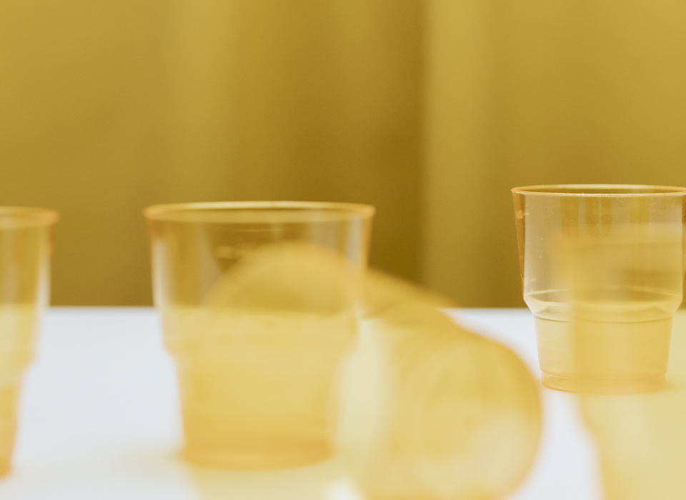 RESILIENCIA SOLUCIONES BASADAS EN LA NATURALEZA SbN