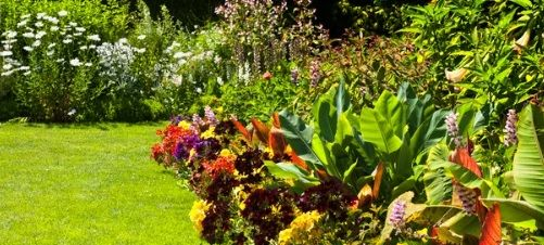 RESILIENCIA SOLUCIONES BASADAS EN LA NATURALEZA SbN