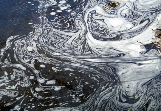 RESILIENCIA SOLUCIONES BASADAS EN LA NATURALEZA SbN