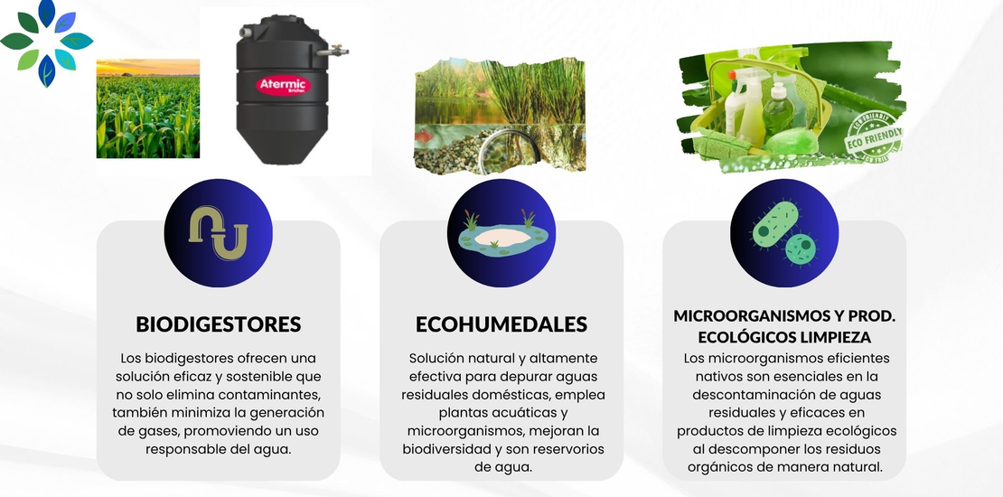 RESILIENCIA SOLUCIONES BASADAS EN LA NATURALEZA SbN
