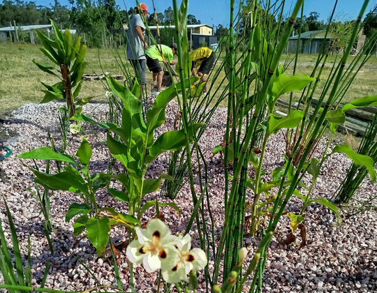 RESILIENCIA SOLUCIONES BASADAS EN LA NATURALEZA SbN