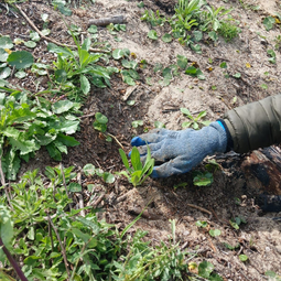 RESILIENCIA SOLUCIONES BASADAS EN LA NATURALEZA SbN