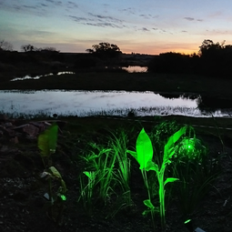 RESILIENCIA SOLUCIONES BASADAS EN LA NATURALEZA SbN
