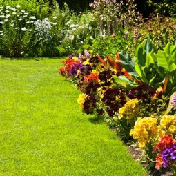 RESILIENCIA SOLUCIONES BASADAS EN LA NATURALEZA SbN