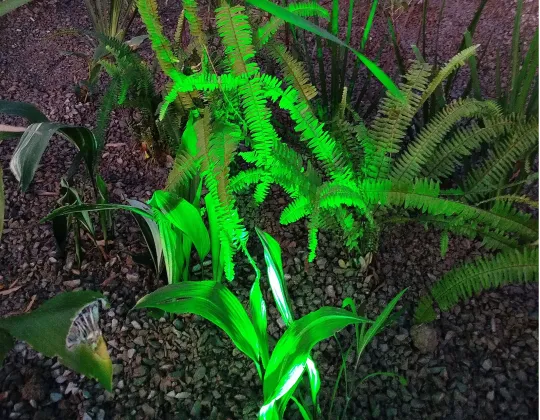 RESILIENCIA SOLUCIONES BASADAS EN LA NATURALEZA SbN